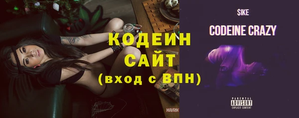 соль ск Абаза